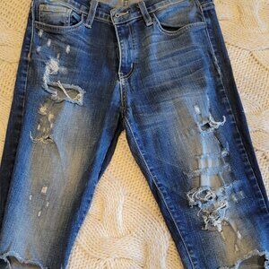 Flying Monkey Distressed Skinny Jeans